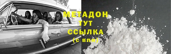индика Новодвинск
