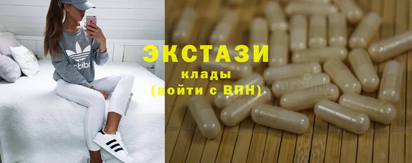индика Новодвинск