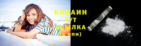 индика Новодвинск