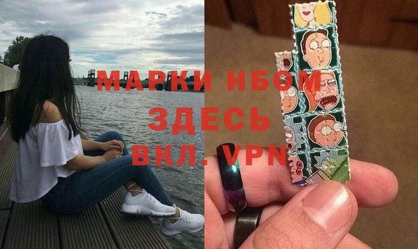 индика Новодвинск