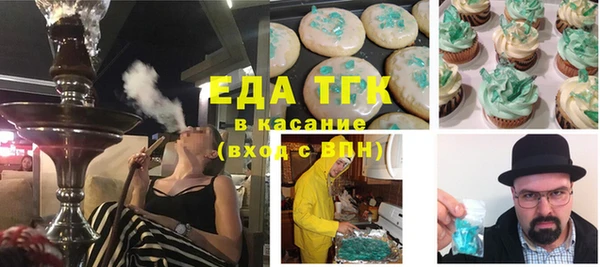 индика Новодвинск