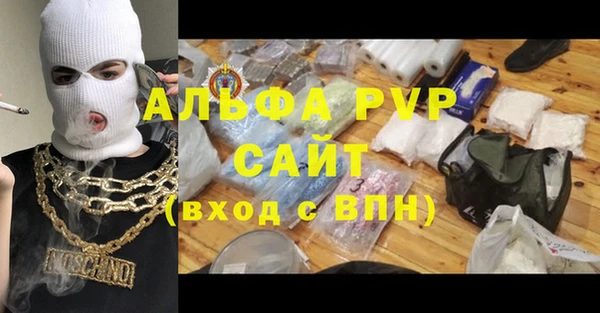 индика Новодвинск