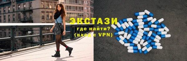 индика Новодвинск