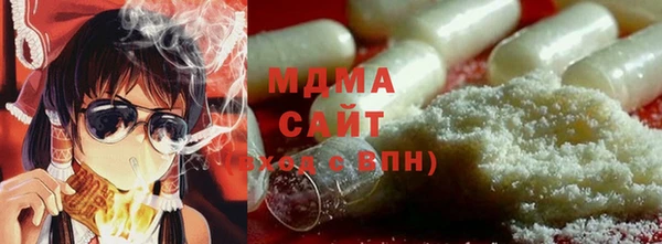 индика Новодвинск