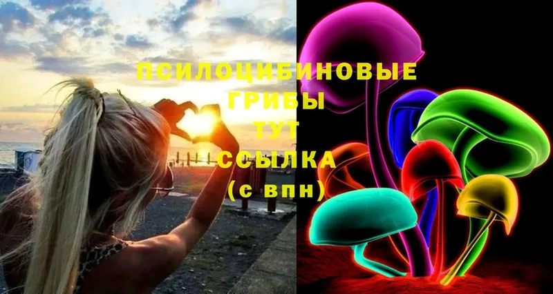 ссылка на мегу зеркало  Княгинино  Псилоцибиновые грибы Magic Shrooms 